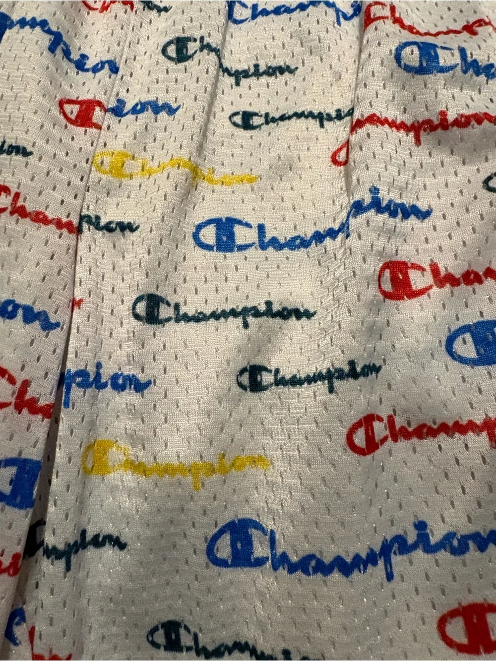 Champion Blue Tee with Multi-Color Logo Script shorts